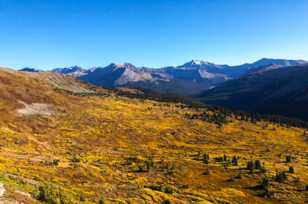 North toward Mt. Harvard from above Cottonwood Pass-2094.jpg